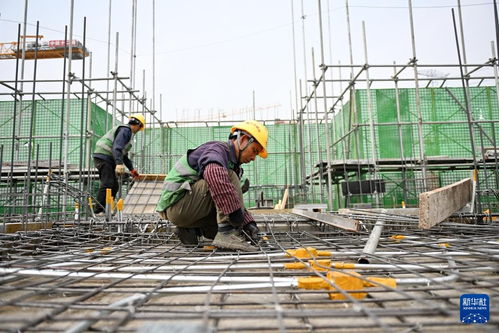 河北雄安新區大河片區安置房項目建設有序推進，高質量施工助力新區發展