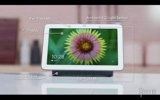 時(shí)代周刊 2018十大電子產(chǎn)品 xbox無(wú)障礙手柄第一